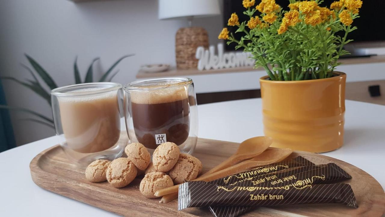 Tusmorez Central Apartment Târgu-Mureş Zewnętrze zdjęcie